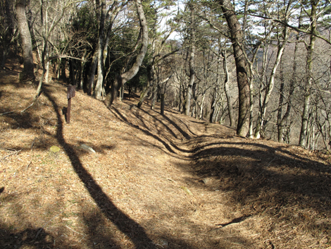 20180116hike (178)